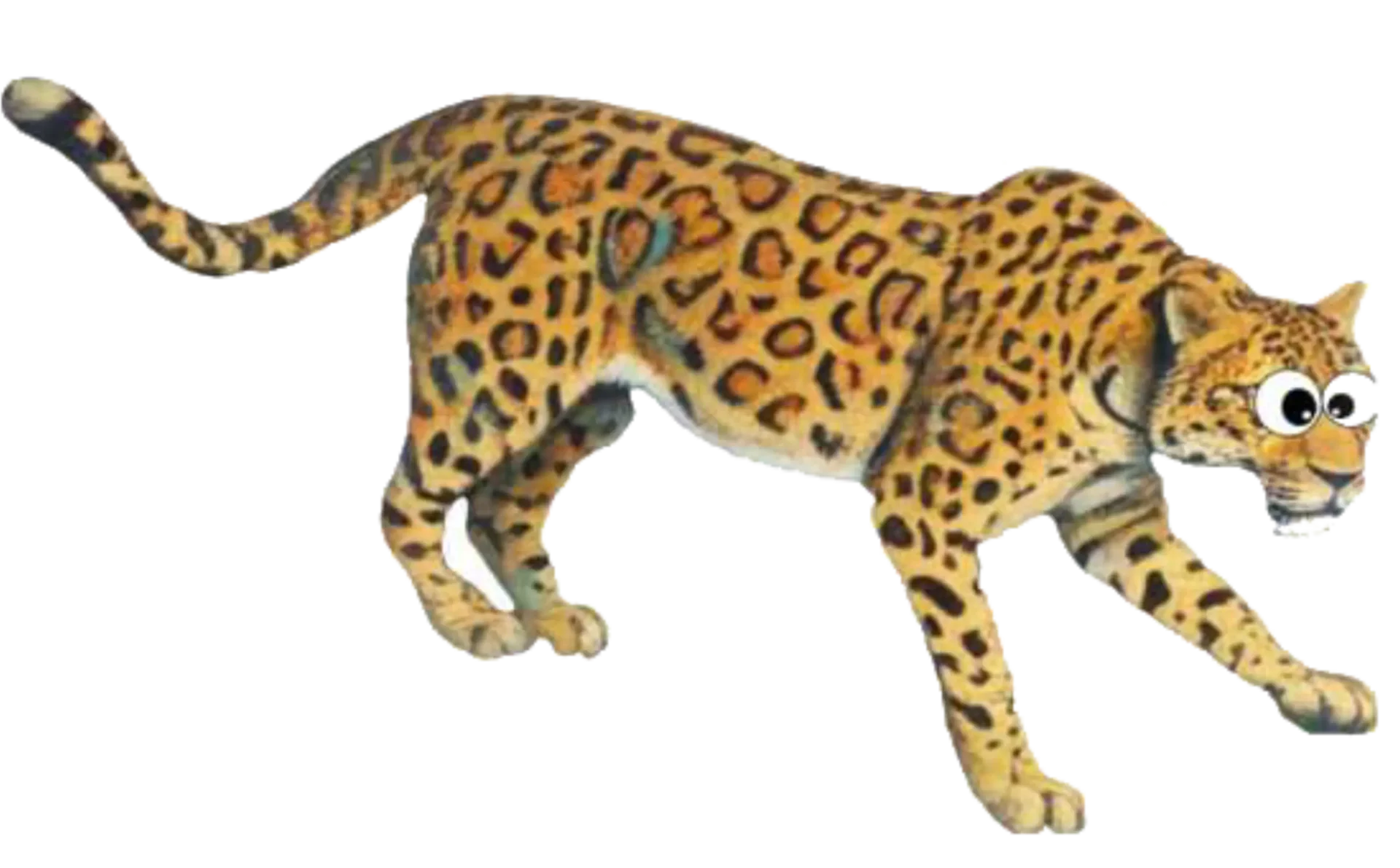 Leopard (1)